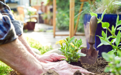 Celebrate National Gardening Day!